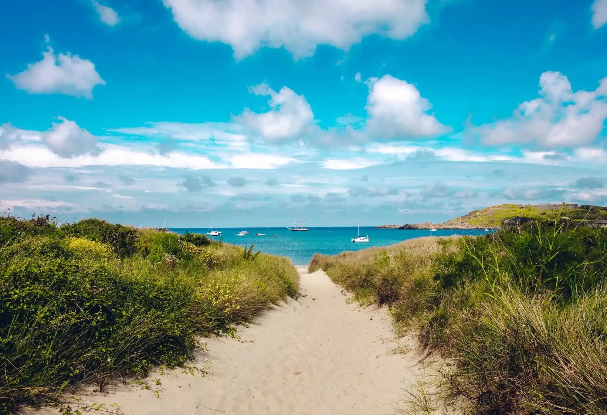 Sandy path through the dunes to the sea