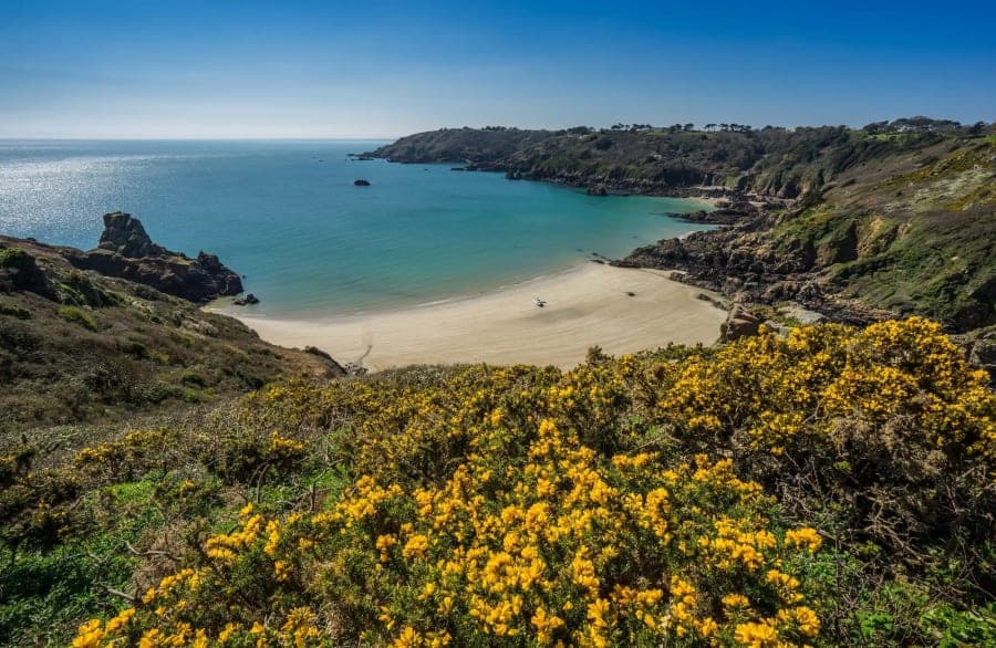 Top reasons to visit Guernsey in the Spring